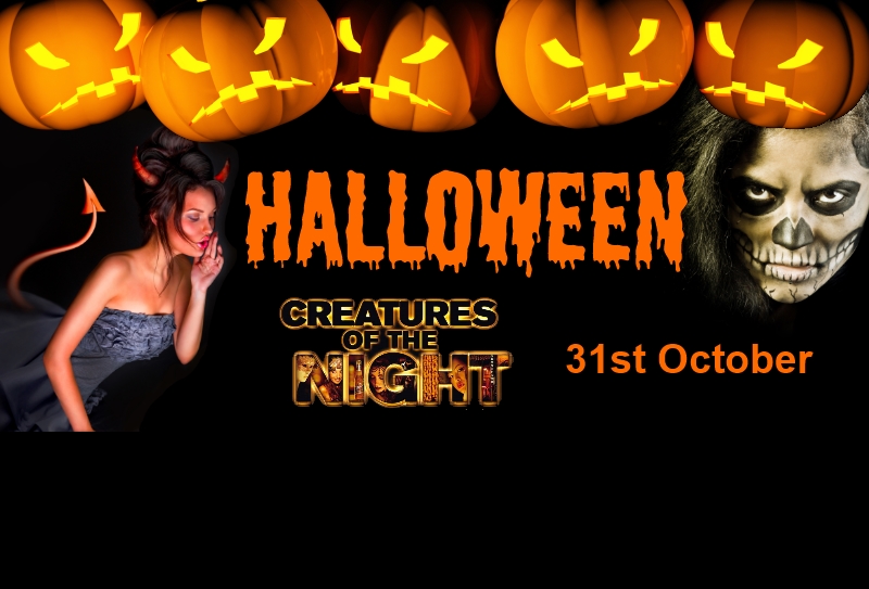 Bannière de la soirée « Halloween » du 31 octobre 2013