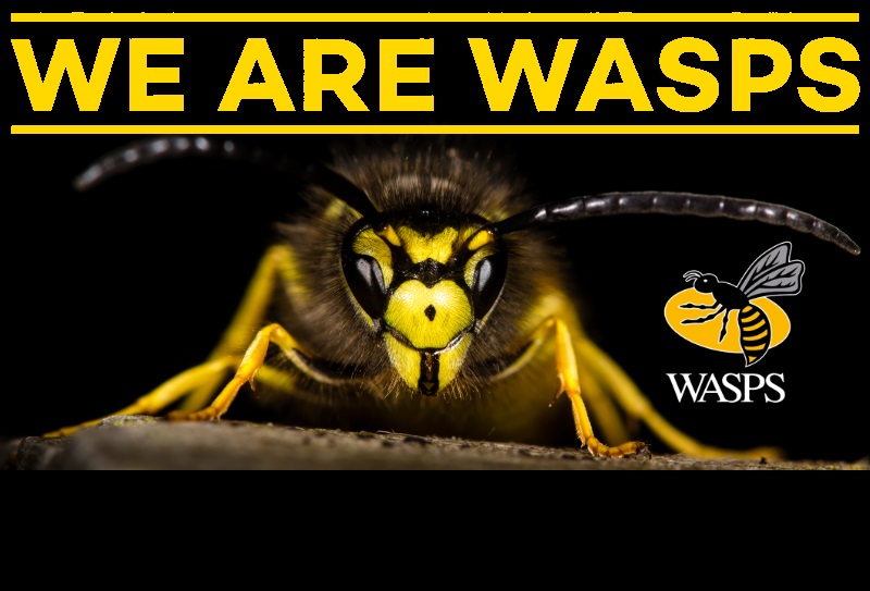 Bannière de l'évènement « WASPS »