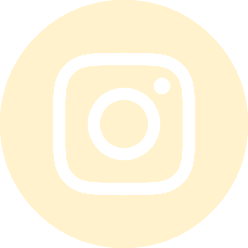 Logo Instagram blanc
