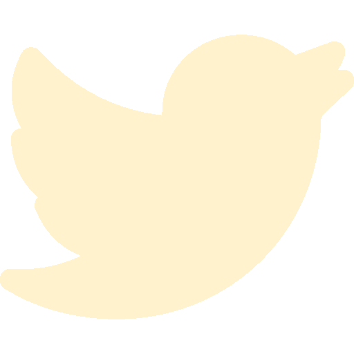 Logo Twitter blanc